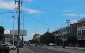 织密老区惠民出行网 以青春体察民生温度—— 华农学子赴红安调研城乡公交一体化建设