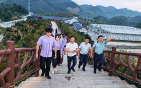 踏遍花田探文旅新路，青年聚力助推乡村振兴
